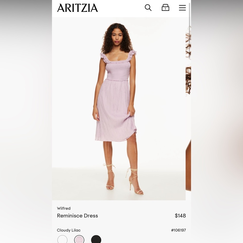 BNWT Aritzia Reminisce dress